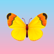 origamiii777
